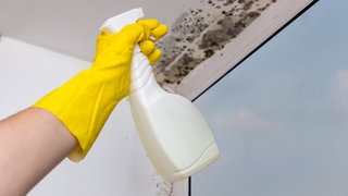 Hand mit Gummihandschuh und Reinigungsflasche bei Schimmelbildung
